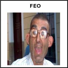 FEO - Foto