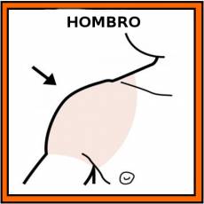 HOMBRO - Pictograma (color)