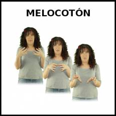 MELOCOTÓN - Signo