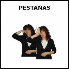 PESTAÑAS - Signo