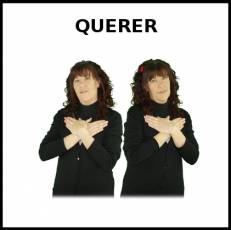 QUERER (AMAR) - Signo