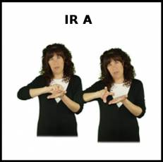 IR A - Signo