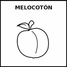MELOCOTÓN - Pictograma (blanco y negro)