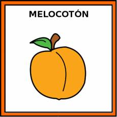 MELOCOTÓN - Pictograma (color)