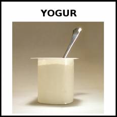 YOGUR - Foto
