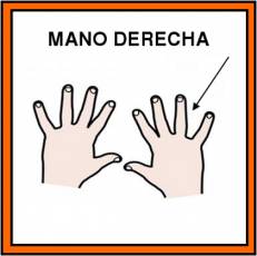 MANO DERECHA - Pictograma (color)