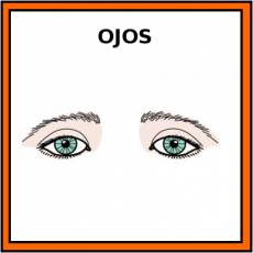 OJOS - Pictograma (color)