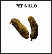 PEPINILLO - Foto