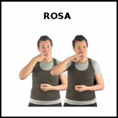 ROSA (COLOR) - Signo