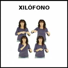 XILÓFONO - Signo
