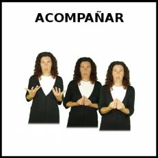 ACOMPAÑAR - Signo