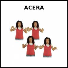 ACERA - Signo