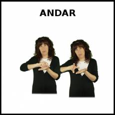 ANDAR - Signo