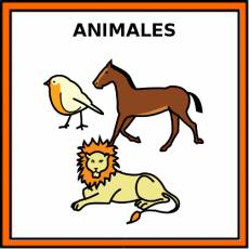 ANIMALES - Pictograma (color)