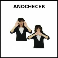 ANOCHECER - Signo
