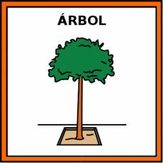 ÁRBOL - Pictograma (color)
