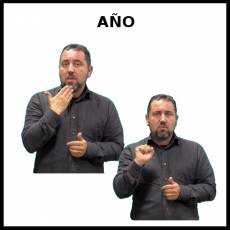 AÑO - Signo