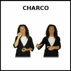 CHARCO - Signo