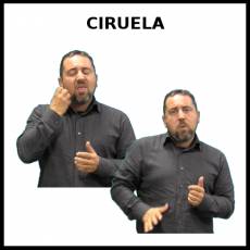 CIRUELA - Signo