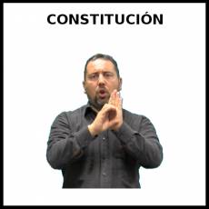 CONSTITUCIÓN - Signo