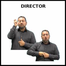 DIRECTOR - Signo