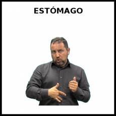 ESTÓMAGO - Signo