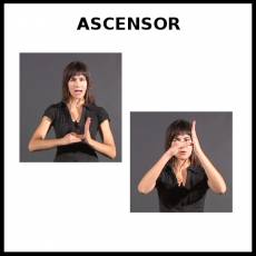 ASCENSOR - Signo