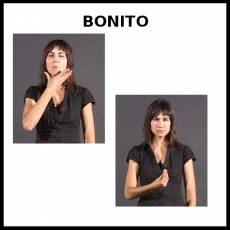 BONITO - Signo