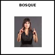 BOSQUE - Signo