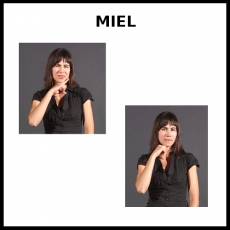 MIEL - Signo