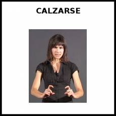 CALZARSE - Signo