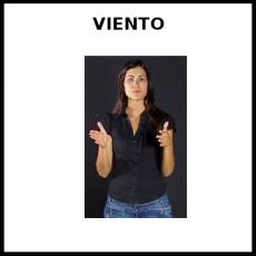 VIENTO - Signo