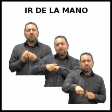 IR DE LA MANO - Signo