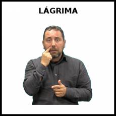 LÁGRIMA - Signo