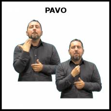 PAVO - Signo