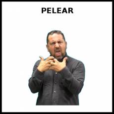 PELEAR - Signo