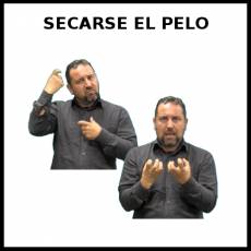 SECARSE EL PELO - Signo