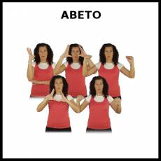ABETO - Signo