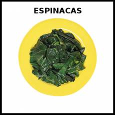 ESPINACAS - Foto