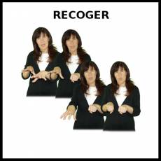 RECOGER - Signo