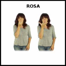 ROSA (FLOR) - Signo