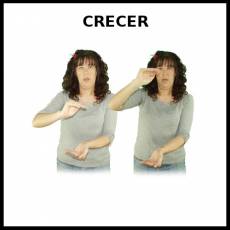CRECER - Signo