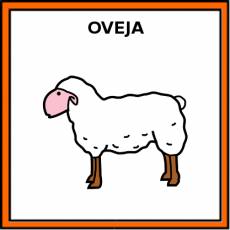 OVEJA - Pictograma (color)