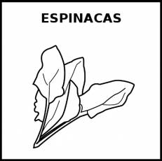 ESPINACAS - Pictograma (blanco y negro)