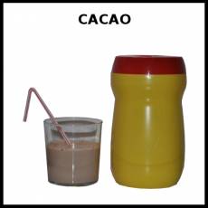 CACAO - Foto