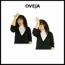 OVEJA - Signo
