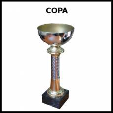 COPA (TROFEO) - Foto