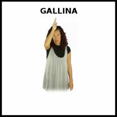 GALLINA - Signo