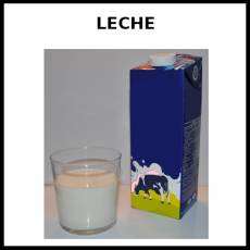 LECHE - Foto