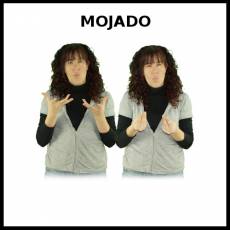 MOJADO - Signo